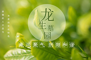 龙生墓园