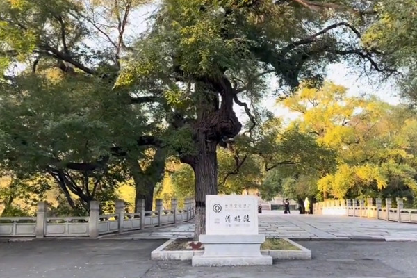 皇太极的陵墓——清昭陵（沈阳北陵）