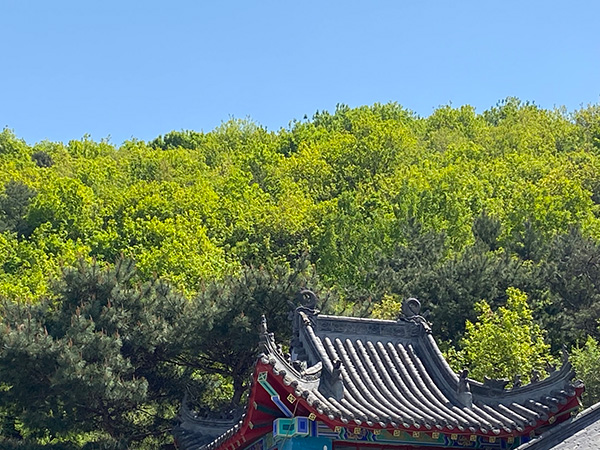 沈阳龙生墓园购墓,龙生墓园,龙生公墓|沈阳墓园|沈阳公墓|沈阳墓地,龙生人文纪念园