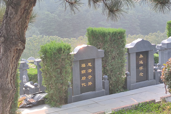 沈阳公墓价格表一览52家墓地陵园的整体规划，使墓园文化传承与爱国教育等完美融合！