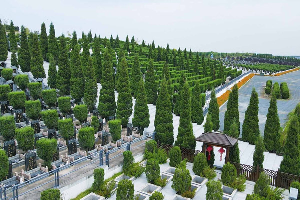沈阳公墓价格表汇总2025沈阳一般墓地价格
