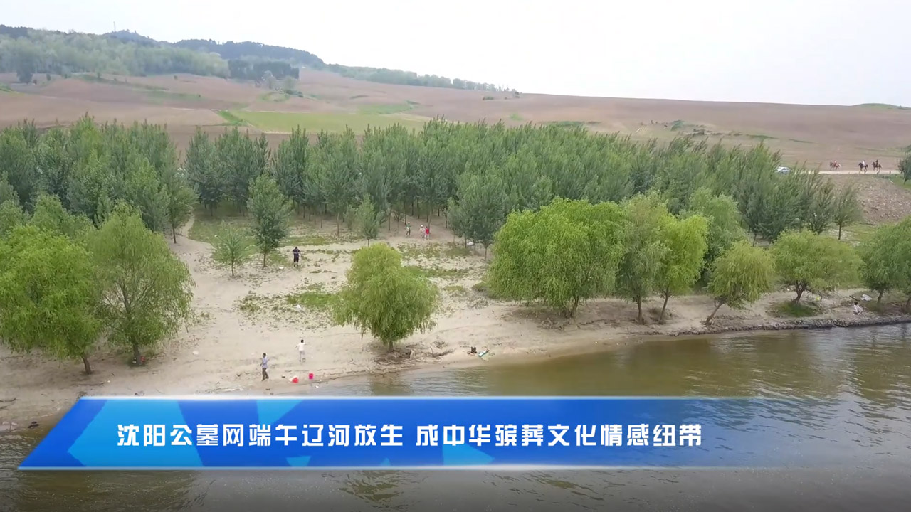 沈阳看墓网端午辽河放生 成中华殡葬文化情感纽带