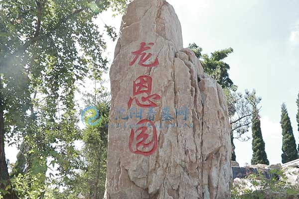 沈阳龙生墓园：静谧角落，生命故事的永存之地
