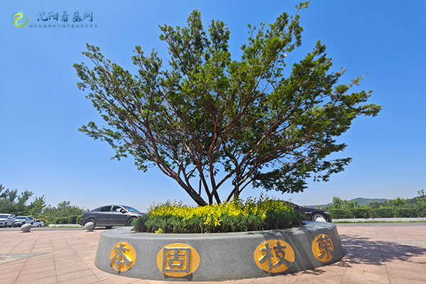 如何判断沈阳墓地风水布局的设计是否合理？