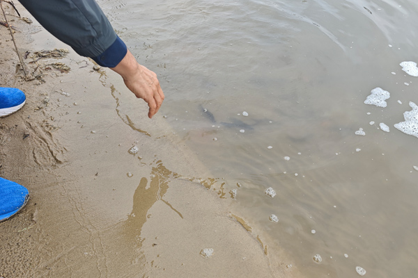 沈阳看墓网践行社会责任：放生护生，助力辽河湿地生物多样性保护