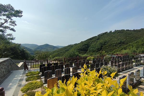 沈阳公墓大全美景：陵园给人们带来了悲伤和哀思，但在秋天，公墓园也展现出了一种独特的美景！