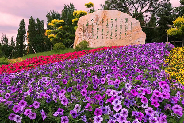 沈阳陶然寝园
