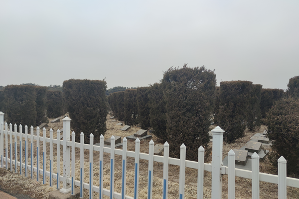 沈阳骨灰入土植树纪念林