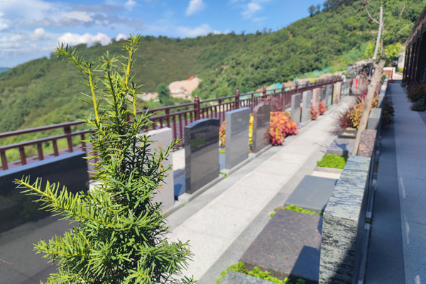 沈阳墓园大全价格表的2025清明节部分公墓价格信息汇总