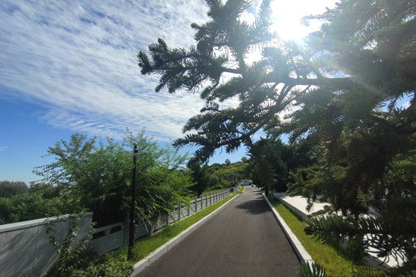 龙生墓园