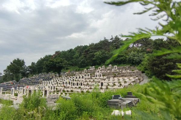 沈阳墓地陵园选大河贝墓园：二十四孝石雕长廊与观音禅林构建的生命文化新范式