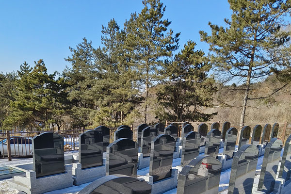 沈阳公墓价格表与公益性公墓用地资源的利用潜力探讨