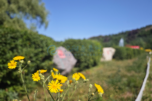 2026年沈阳沈北新区永久经营性公墓推荐：龙福山墓园，现代园林+亲民价格的永恒福地！