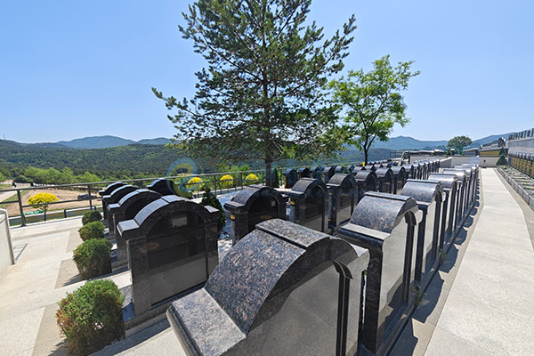 2026年沈阳沈北新区永久经营性公墓推荐：龙福山墓园，现代园林+亲民价格的永恒福地！