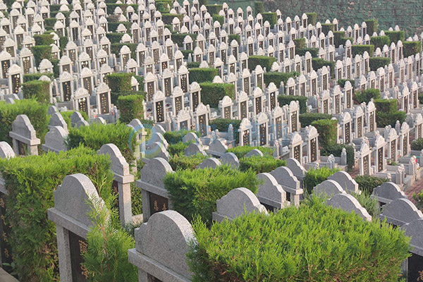 2026清明节落葬沈阳墓园：选哪天安葬好？一份沈阳墓园大全实用全攻略