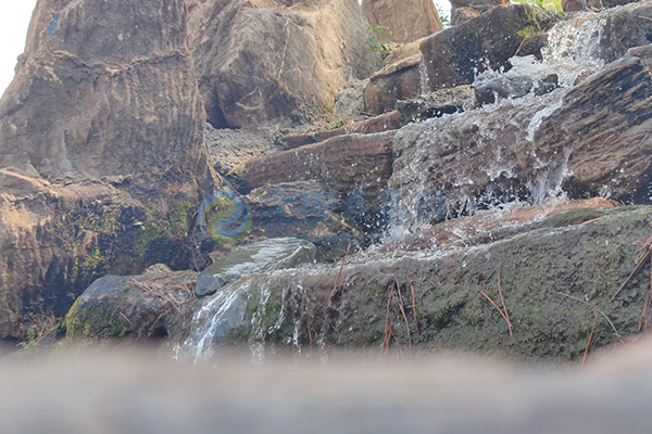 2026清明节落葬沈阳墓园：选哪天安葬好？一份沈阳墓园大全实用全攻略