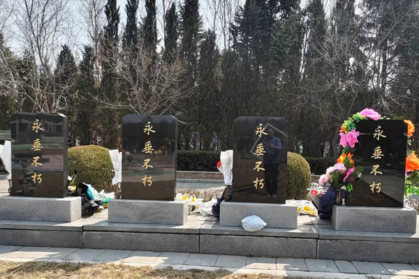 沈阳看墓网全体员工向烈士致敬