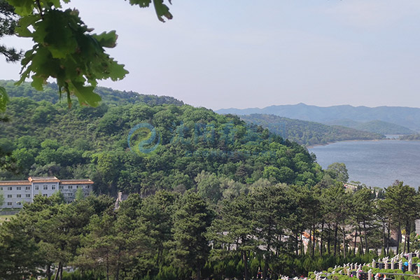 沈阳选墓攻略:看陵园自然风水环境,结合墓位号的讲究 沈阳选墓攻略:看陵园自然风水环境,结合墓位号的讲究
